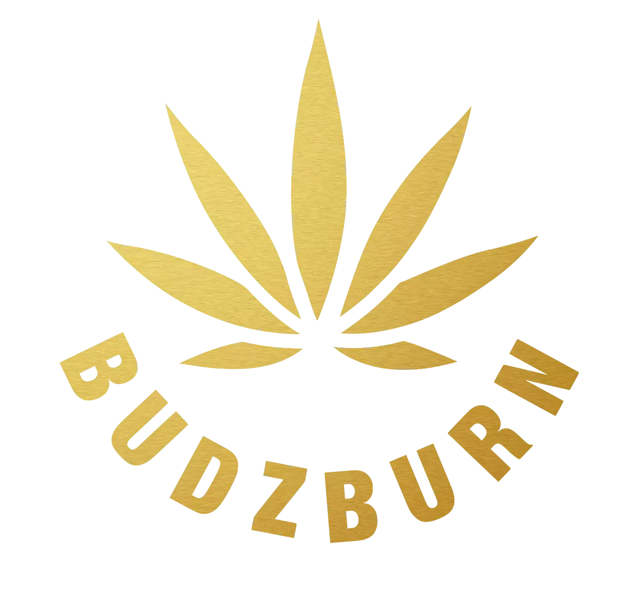 Budzburn